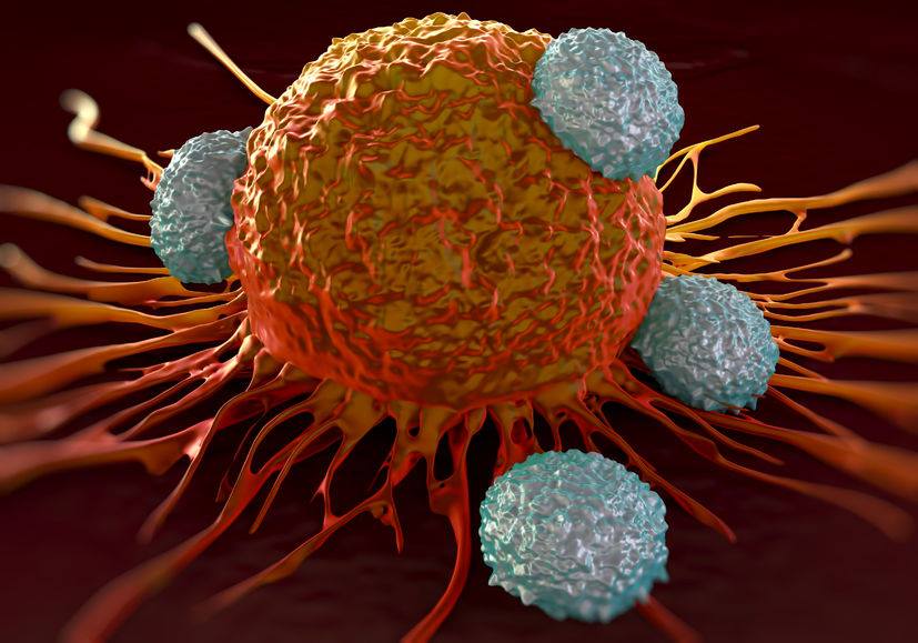 Mit tett hozzá az immunológia a daganatok kezeléséhez?