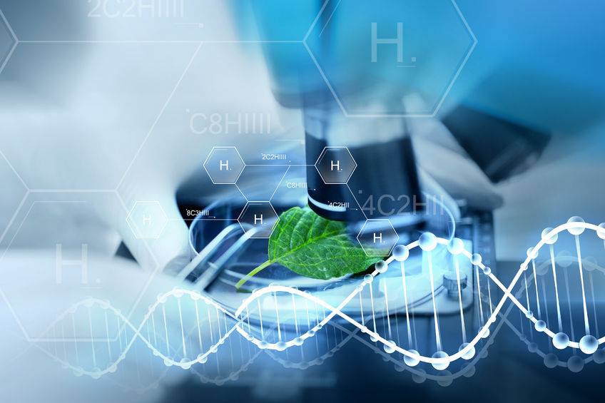 Tudja, hogy mit jelent a biotechnológia, és kitől származik ez a fogalom?