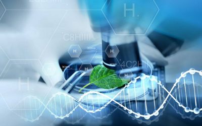 Tudja, hogy mit jelent a biotechnológia, és kitől származik ez a fogalom?