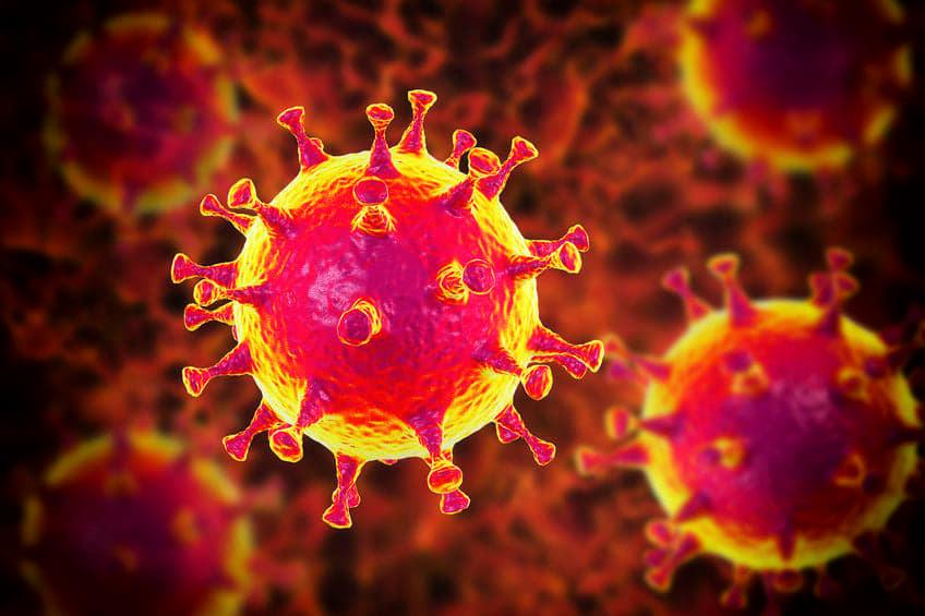 A korona vírus és az immunbetegségek